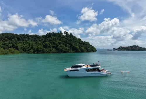 Luxury catamaran floating near lush green island during Phang Nga Bay Sunset Serenity Cruise with Phuket Travel Store.
