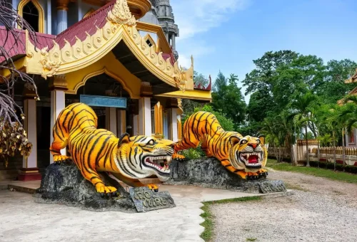 Tiger statues at the entrance of Tiger Cave Temple Krabi.