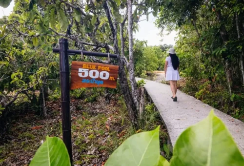 Jungle path leading to Blue Pool at Krabi Emerald Pool Nature Park.