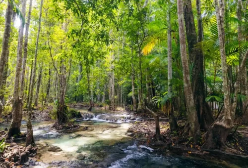 Krabi hot springs in the jungle with flowing mineral water.