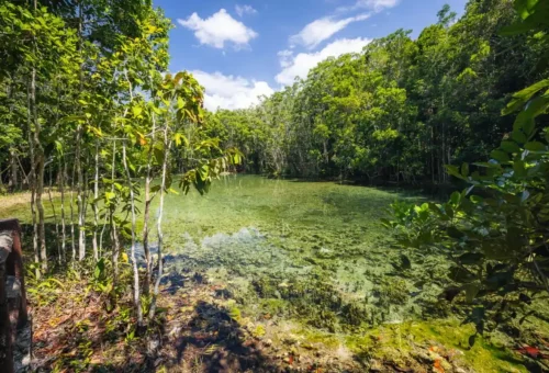 Emerald Pool Krabi natural hot spring with clear green water.