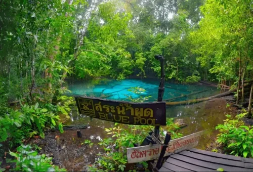 Blue Pool Krabi with crystal-clear turquoise water and forest.
