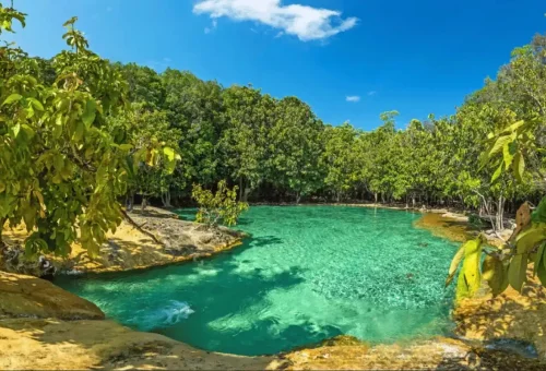 Emerald Pool Krabi shining bright under the sun.
