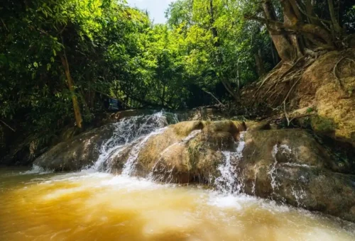 Waterfall stream feeding into Krabi natural hot springs.
