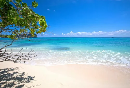 White sandy beach and turquoise waters framed by tropical trees.