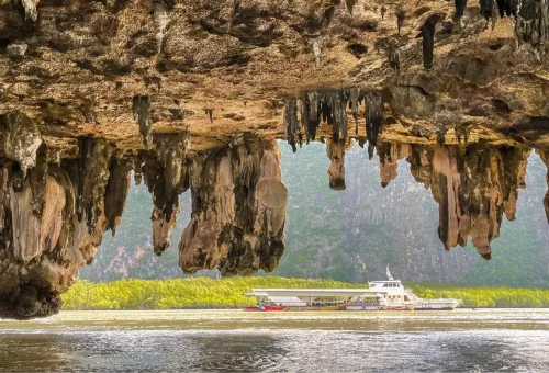 Limestone cave ceiling and stalactites at Phang Nga Bay