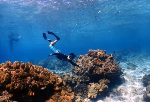Snorkeler exploring coral reefs at Raya Noi Island with Phuket Travel Store