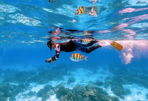 Snorkeler capturing underwater photos at Raya Noi Island Phuket