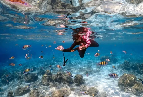Snorkeler surrounded by colorful fish at Maiton Island Phuket