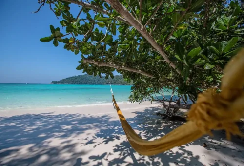 Peaceful hammock under tropical trees on Surin Islands’ white sandy beach.