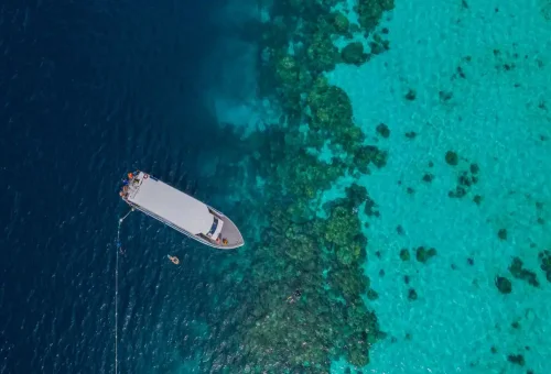 Aerial drone view of snorkeling around Surin Islands reef Thailand