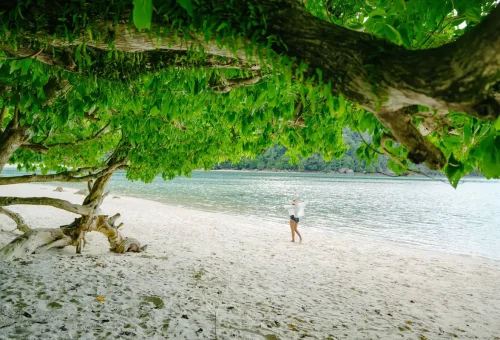 surin-islands-two-days-one-night-speedboat-tour-phuket-travel-store (16)