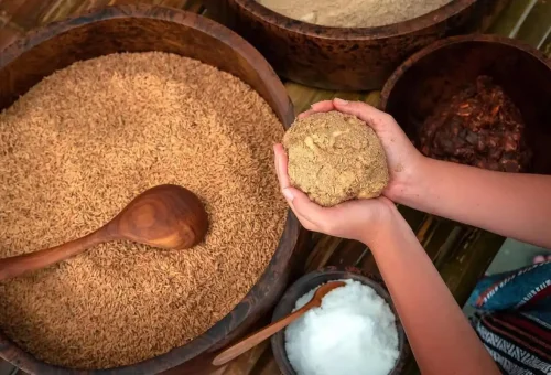 Visitor holding a handmade elephant food ball made from rice, fruit, and natural ingredients in Phuket Elephant Care Park.