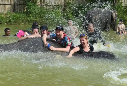 Visitors enjoying water play with elephants in a natural pond at Phuket Elephant Care Park.
