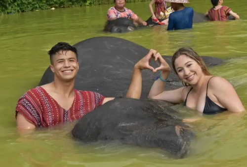 Tourists making a heart shape while bathing elephants at Phuket Elephant Care Park.