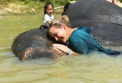 Visitor hugging an elephant affectionately during a bath at Phuket Elephant Care Park.