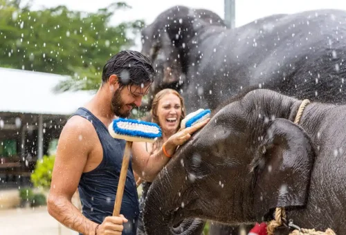 Couple laughing while brushing elephants under water spray at Phuket Elephant Care Park.