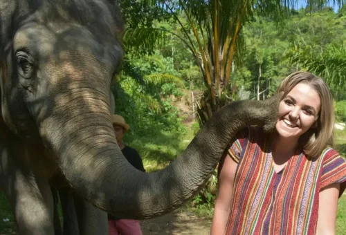 Elephant playfully wrapping trunk around tourist’s shoulder at Phuket Elephant Care Park.