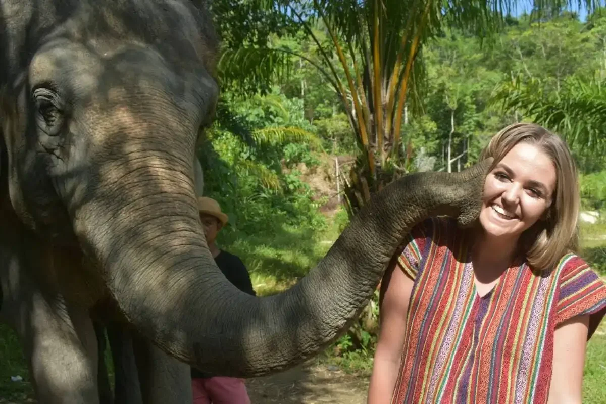 Phuket Elephant Care Park Half Day Phuket Travel Store 19