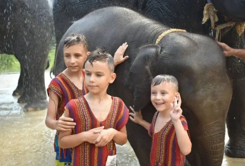 Children smiling and touching elephants during a family-friendly activity at Phuket Elephant Care Park.