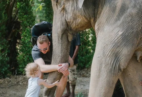 Father and toddler sharing a touching moment with an elephant at Phuket Elephant Care Park.