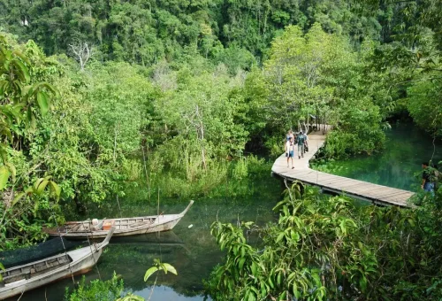 Tourists exploring Krabi mangrove boardwalk eco trail