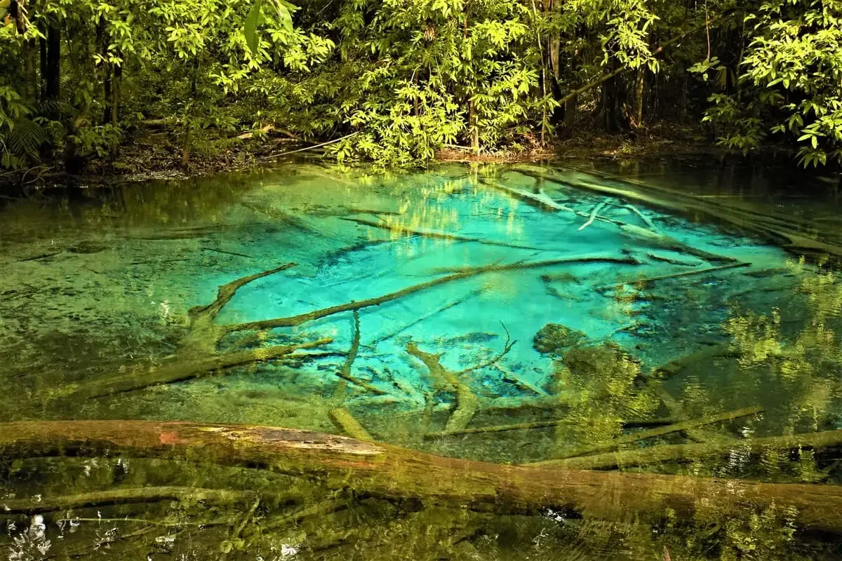 Krabi Hot Springs And Emerald Pool Phuket Travel Store 2