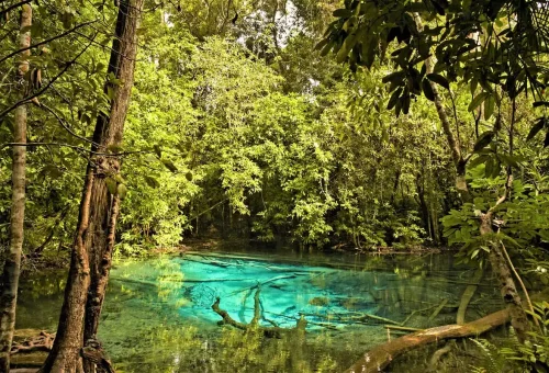 Crystal-clear turquoise spring reflecting sunlight in the lush jungle near Krabi, Thailand.