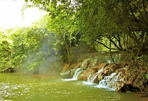 Warm mineral waterfall surrounded by lush tropical greenery and steam rising from the forest.