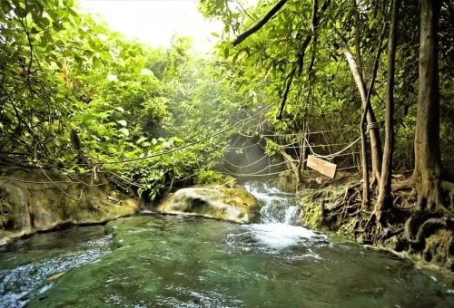 Crystal-clear natural hot water stream with rocks and tropical vines in southern Thailand.