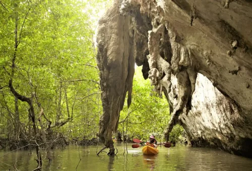 Kayaking under limestone cliffs and mangrove caves in Ao Thalane Krabi