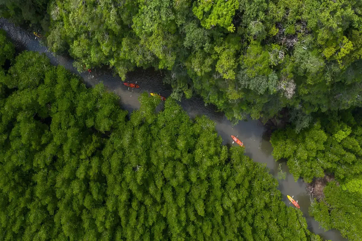 Krabi Ao Thalane Kayaking Phuket Travel Store 1