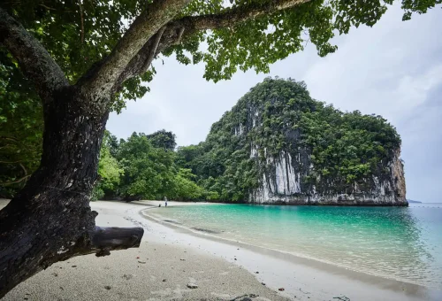 View of Hong Islands group from the sea with turquoise waters and jungle-covered cliffs.