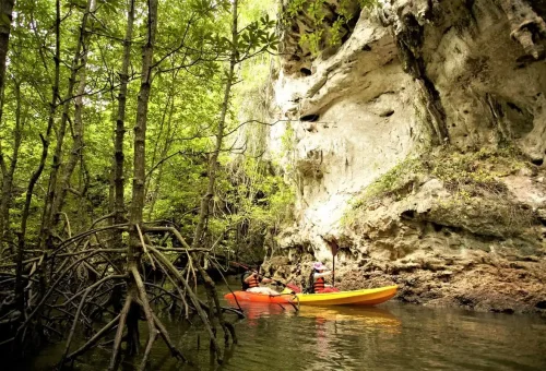 Couple kayaking beside limestone cliffs through mangrove trees in Ao Thalane, Krabi.