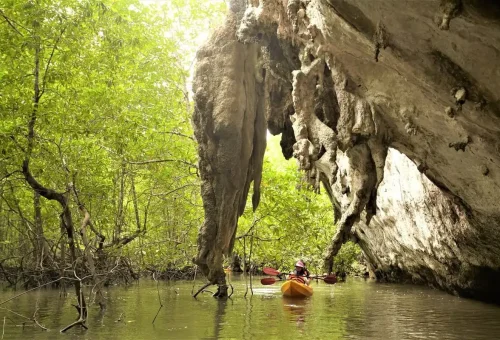 Kayaker passing under limestone cave overhang in Ao Thalane’s mangrove forest, Krabi.