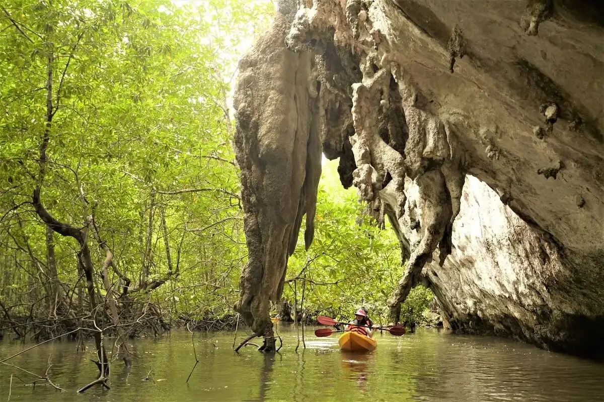 Koh Hong And Ao Thalane Kayaking Krabi Phuket Travel Store 19
