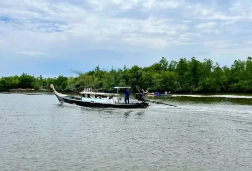 Traditional longtail boat in Koh Klang, Krabi surrounded by mangroves