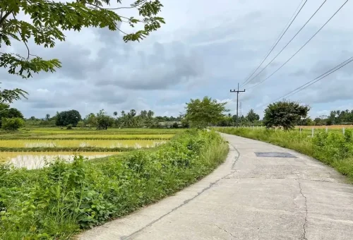 Countryside road through rice fields at Koh Klang, Krabi