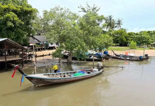 Traditional longtail boats anchored near the mangrove forest in Krabi