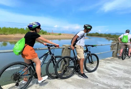 Tourists cycling along riverside bridge with mangrove views