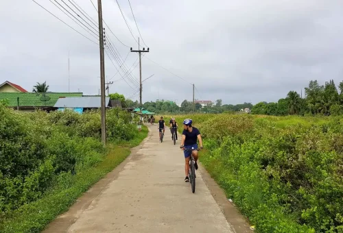 Cyclists riding through countryside lanes of Krabi