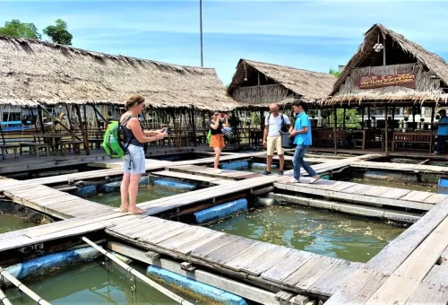 Floating fish farm restaurant in Krabi