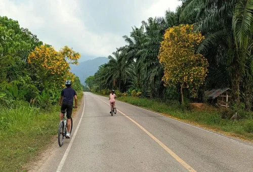 Krabi jungle path leading to the majestic Huay Tho Waterfall with natural rock formations.