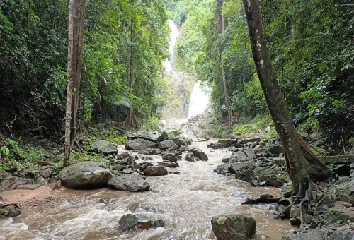 View of Huay Tho Waterfall surrounded by rainforest during a Phuket Travel Store cycling tour.