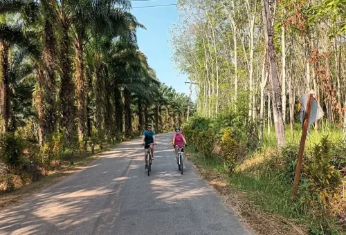 View of Huay Tho Waterfall flowing through lush tropical forest near Krabi Town.