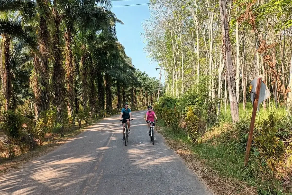 View of Huay Tho Waterfall flowing through lush tropical forest near Krabi Town.