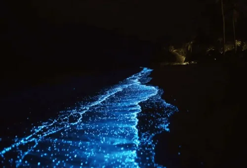 Krabi 7 Islands Sunset Bbq Tour Phuket Travel Store 7