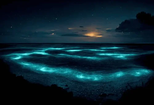 Krabi 7 Islands Sunset Bbq Tour Phuket Travel Store 6