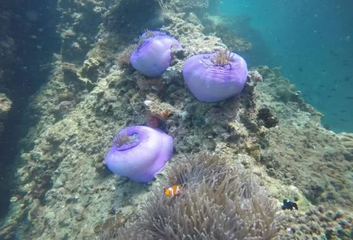 krabi-7-islands-sunset-bbq-tour-phuket-travel-store-9