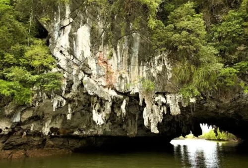 Limestone cliffs with lush vegetation and cave entrance at Phang Nga Bay during the James Bond Discovery tour.